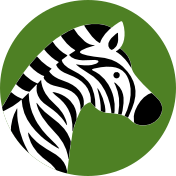 Mr. Zebra!